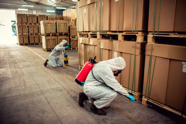 Best Termite Control Services  in Portageville, MO