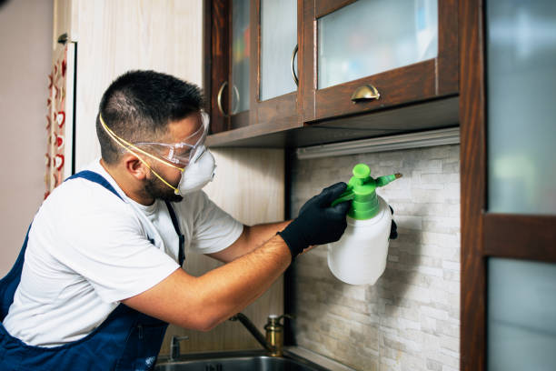 Best Pest Prevention Services  in Portageville, MO