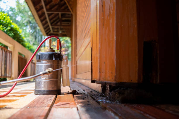 Best Affordable Pest Control Services  in Portageville, MO