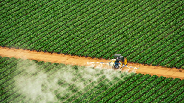 Best Mosquito Control Services  in Portageville, MO